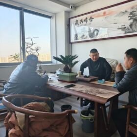 Caterpillar 320D Successfully Arrives at Port, Ready for Shipment to Pointe-Noire, Republic of the Congo